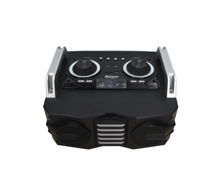 AILIANG Speaker (amplifier) UF1506BD-DT